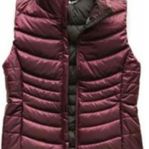 North face down vest